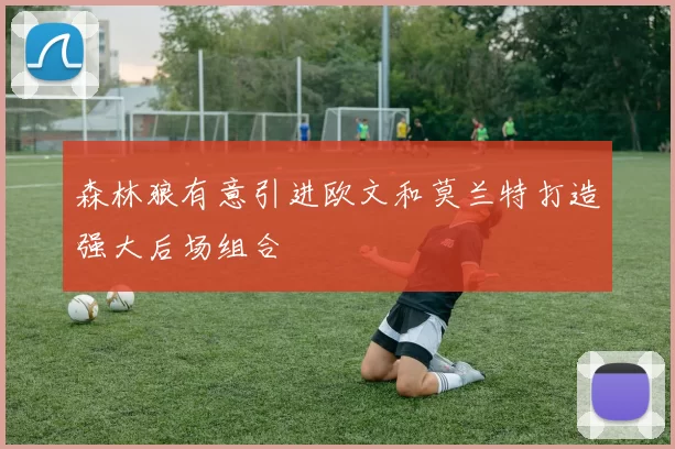 森林狼有意引进欧文和莫兰特打造强大后场组合